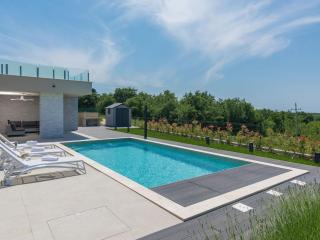 Wonderful villa with swimming pool and wellness - Brtonigla - 2