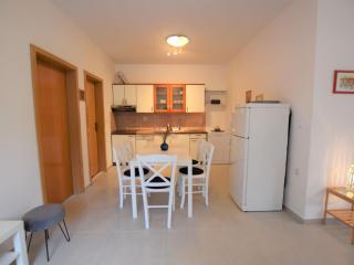 Home with terrace and swimming pool for use - Mandre - 8