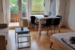 Haus am Sonnenberg, Todtnauberg, Ferienwohnung 204, direkt am Skilift-Skipiste, Nähe Feldberg - Todtnau - 3