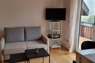 Haus am Sonnenberg, Todtnauberg, Ferienwohnung 204, direkt am Skilift-Skipiste, Nähe Feldberg - Todtnau - 4