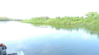 Spot Jaguar Pantanal South Lodgen wild Jaguar Tour - 1