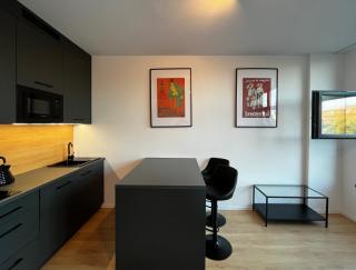 Bierutowska Park Studio od WroApart-PL - 7