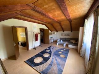 Frutak Villa Resort - Bogićevići - 4