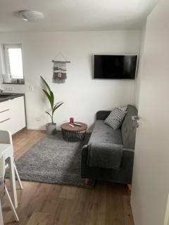 Ferienwohnung OLA - Schwanau - 2