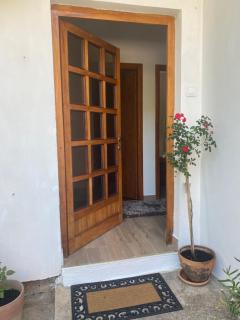 Armonia - Kotor (Cattaro) - 9