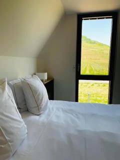 Appartements de Manon au cœur des vignes - Kientzheim - 3