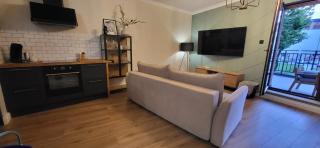 Komfortowy Apartament Przy Bramie Targowej z tarasem- Old Town - Elblag - 8