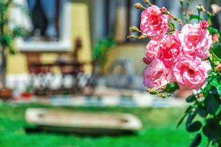 Lady Lavender House - Balatonfüred - 7