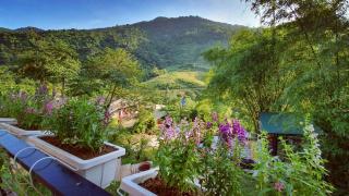 Hanoi Mountain View 3BR Private Villa, Natural Spring Infinity Pool, Healing Nature Retreat, VNese Country life - Hanoi - 1