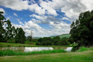 Newstead Farm - Country Cottages - Curryʼs Post - 8