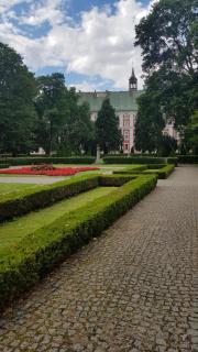 Chopin Park LUX Apartment, self check-in 24h, free parking, air-conditioning - 6