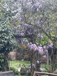 A room and garden close to Paris - 1