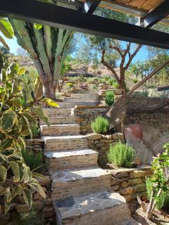 Penthouse Apartment, Cortijo Fruitful HIlls - Malaga - 4