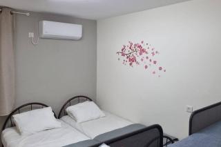 הבית בפיקא. צמוד לרמבם - 5