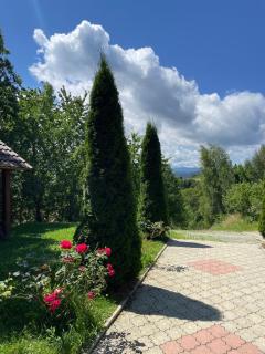 Pensiunea 7 Brazi - 7