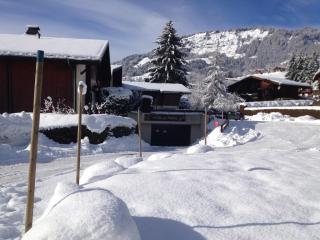 Studio Clos des Meurets - Praz-sur-Arly - 4