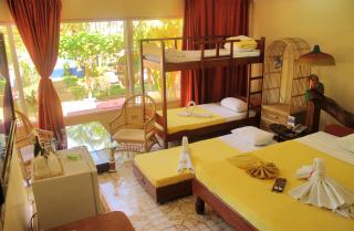 Deep Forest Garden Hotel - Puerto Princesa - 4