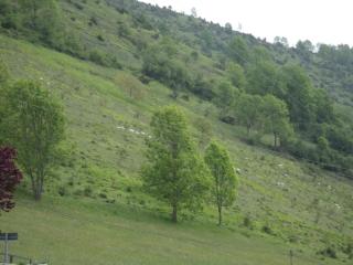 L'Esquerade - Castillon-de-Larboust - 9