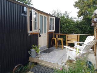 Mr Hares shepherd hut - 3