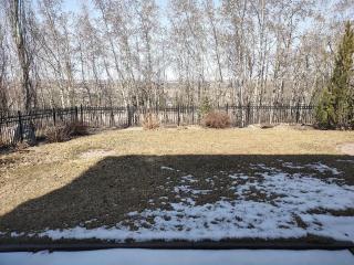 Spacious One Bedroom Walkout Basement Suite - 8