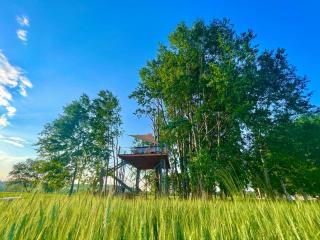 Zelený ostroff Treehouse - Jiříkov - 7