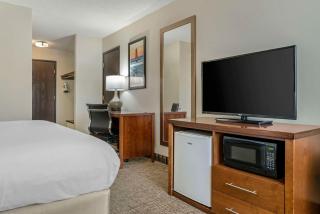 Comfort Inn - Manistique - 8