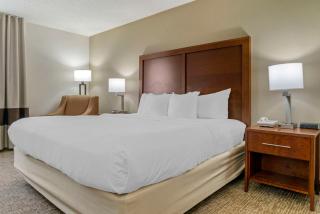 Comfort Inn Manistique - 6