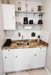 Adorable Mini Suite in Tampa - 9