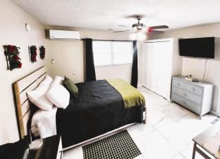 Adorable Mini Suite in Tampa - 8