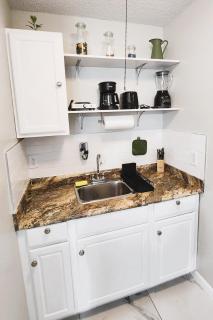 Adorable Mini Suite in Tampa - 2