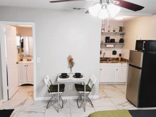 Adorable Mini Suite in Tampa - 1