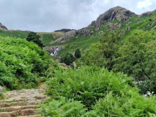 Little half point - Welton - 9