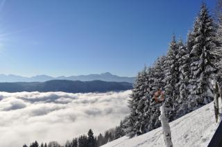 Mathiasl Panorama Ferienwohnungen - Bodensdorf - 2