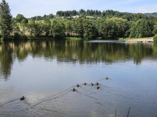 Gîte Les Myrtilles : Confort et Sérénité, Animaux Bienvenus, Jardin Commun - FR-1-496-45 - 9