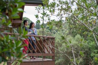 Mirante da Colyna Hotel & SPA - 4