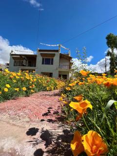 Chakzot garden house - Leh - 0