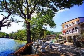 Citrus Cafe & Restaurant - Kandy - 8