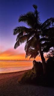 Oarsman's Bay Lodge - Nacula Island - 7