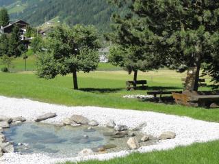 Hotel Steuxner - 8