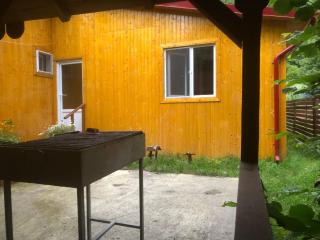 Cabana lucia - Tarcău - 9