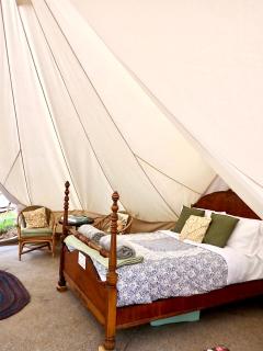 The Toad's pad - Tiverton - 0