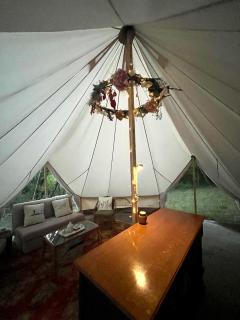 The Toad's pad - Tiverton - 6