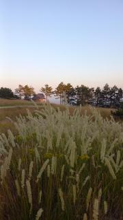 Apartman Popović - Vila Gorštak - 1