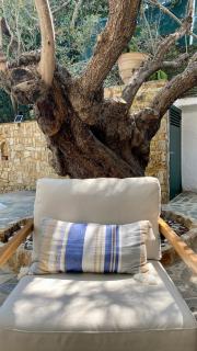 Villa eco Electra - Nikiti - 4