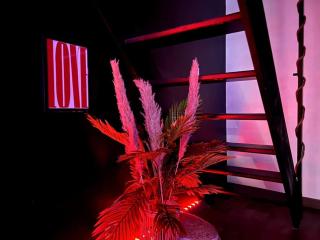 Red love-room / Balnéo & plus ! - Souppes-sur-Loing - 6