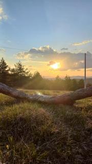 Apartman Popović - Vila Gorštak - 1