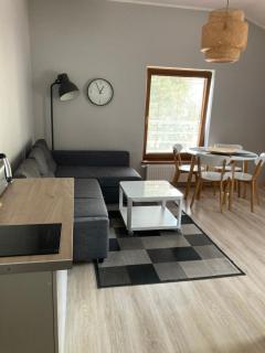 Apartament w Parku Planty - Elblag - 1