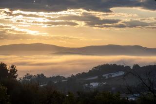 Treetops Silvan Valley Lodge - suite 1 - Silvan - 3