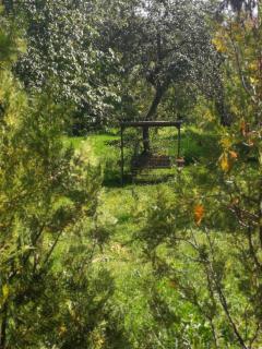 White house Dsegh - Dsegh - 6