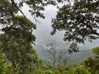 Manaslu Homestay - 3